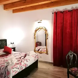 Guest house Casa Busari